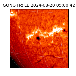gong - 2024-08-20T05:00:42