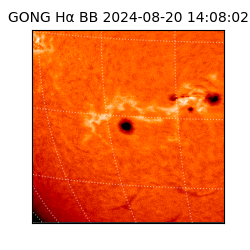 gong - 2024-08-20T14:08:02