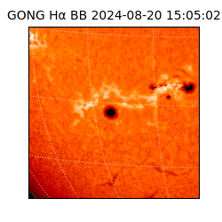gong - 2024-08-20T15:05:02