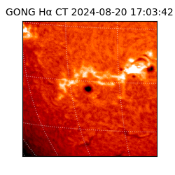 gong - 2024-08-20T17:03:42