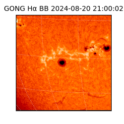 gong - 2024-08-20T21:00:02