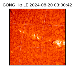 gong - 2024-08-20T03:00:42