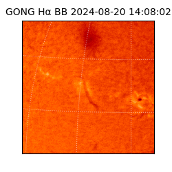 gong - 2024-08-20T14:08:02