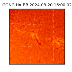 gong - 2024-08-20T16:00:02