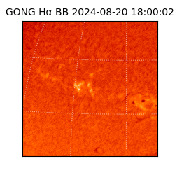 gong - 2024-08-20T18:00:02