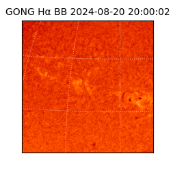 gong - 2024-08-20T20:00:02