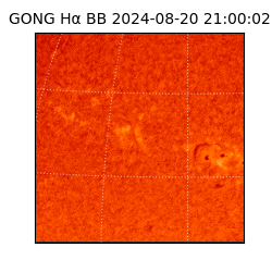 gong - 2024-08-20T21:00:02