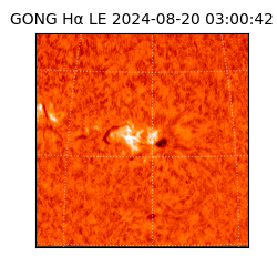 gong - 2024-08-20T03:00:42