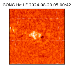 gong - 2024-08-20T05:00:42