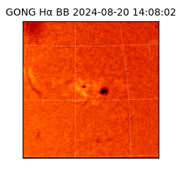 gong - 2024-08-20T14:08:02