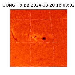 gong - 2024-08-20T16:00:02