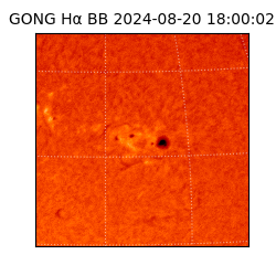 gong - 2024-08-20T18:00:02