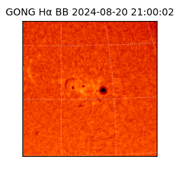 gong - 2024-08-20T21:00:02