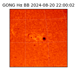 gong - 2024-08-20T22:00:02