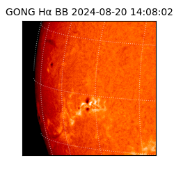 gong - 2024-08-20T14:08:02