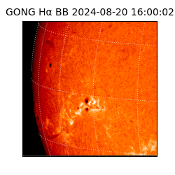 gong - 2024-08-20T16:00:02