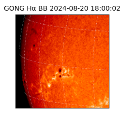 gong - 2024-08-20T18:00:02