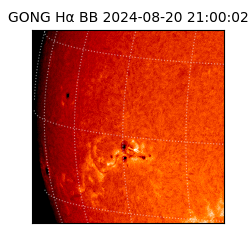 gong - 2024-08-20T21:00:02