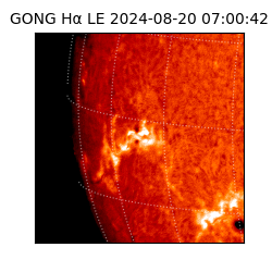 gong - 2024-08-20T07:00:42