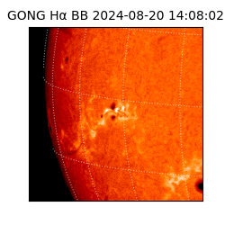 gong - 2024-08-20T14:08:02
