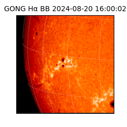 gong - 2024-08-20T16:00:02