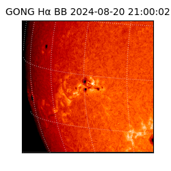 gong - 2024-08-20T21:00:02