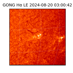gong - 2024-08-20T03:00:42
