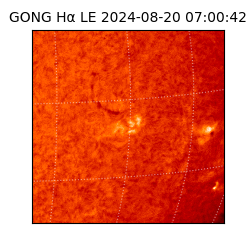 gong - 2024-08-20T07:00:42