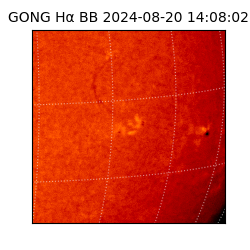 gong - 2024-08-20T14:08:02