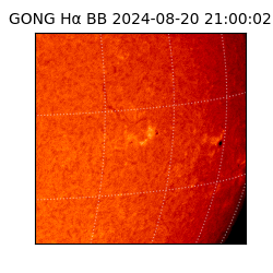 gong - 2024-08-20T21:00:02