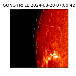 gong - 2024-08-20T07:00:42
