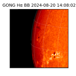 gong - 2024-08-20T14:08:02