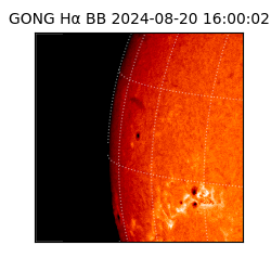 gong - 2024-08-20T16:00:02