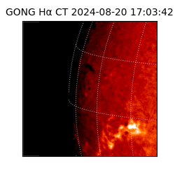 gong - 2024-08-20T17:03:42