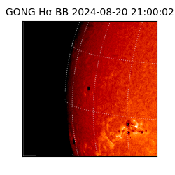 gong - 2024-08-20T21:00:02