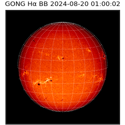 gong - 2024-08-20T01:00:02
