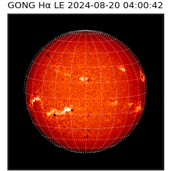 gong - 2024-08-20T04:00:42