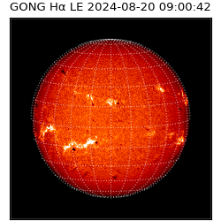 gong - 2024-08-20T09:00:42