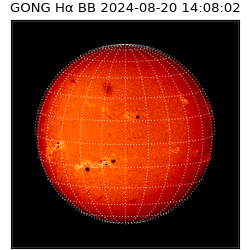 gong - 2024-08-20T14:08:02