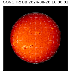 gong - 2024-08-20T16:00:02