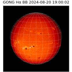 gong - 2024-08-20T19:00:02