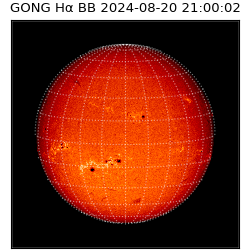 gong - 2024-08-20T21:00:02