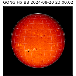 gong - 2024-08-20T23:00:02