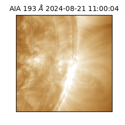 saia - 2024-08-21T11:00:04.843000