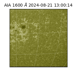 saia - 2024-08-21T13:00:14.129000