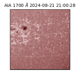 saia - 2024-08-21T21:00:28.717000