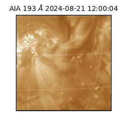 saia - 2024-08-21T12:00:04.843000