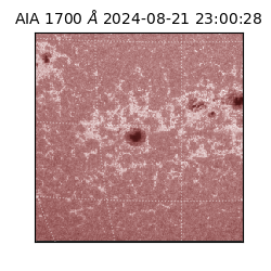 saia - 2024-08-21T23:00:28.717000