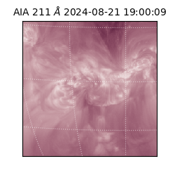 saia - 2024-08-21T19:00:09.630000