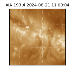 saia - 2024-08-21T11:00:04.843000